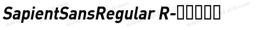 SapientSansRegular R字体转换